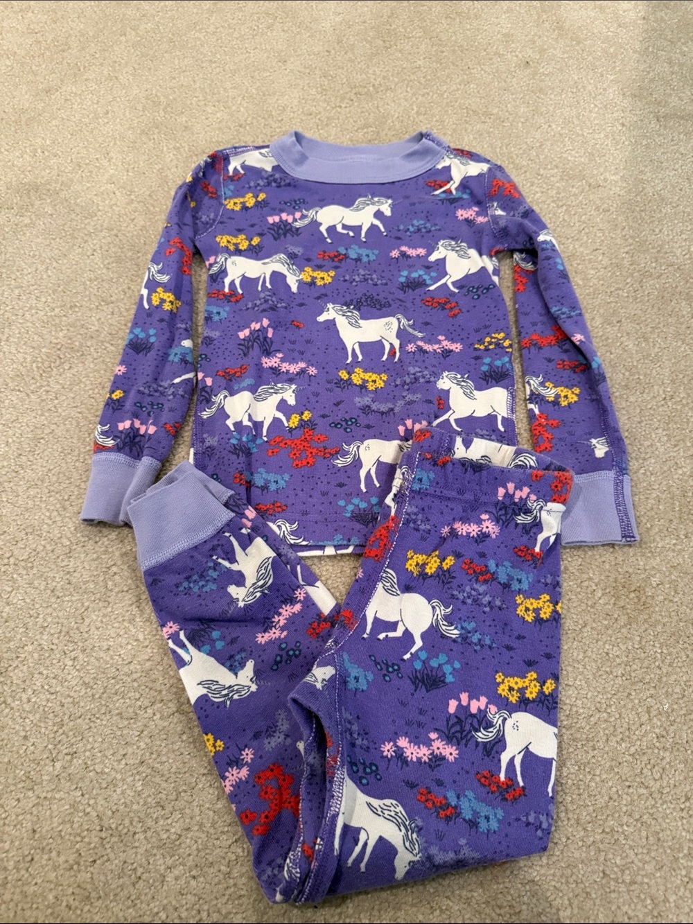 Hanna Andersson Purple Unicorn Floral Pajama Set
